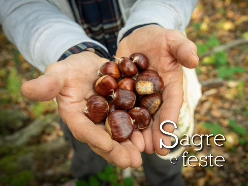 Sagre e feste - banner