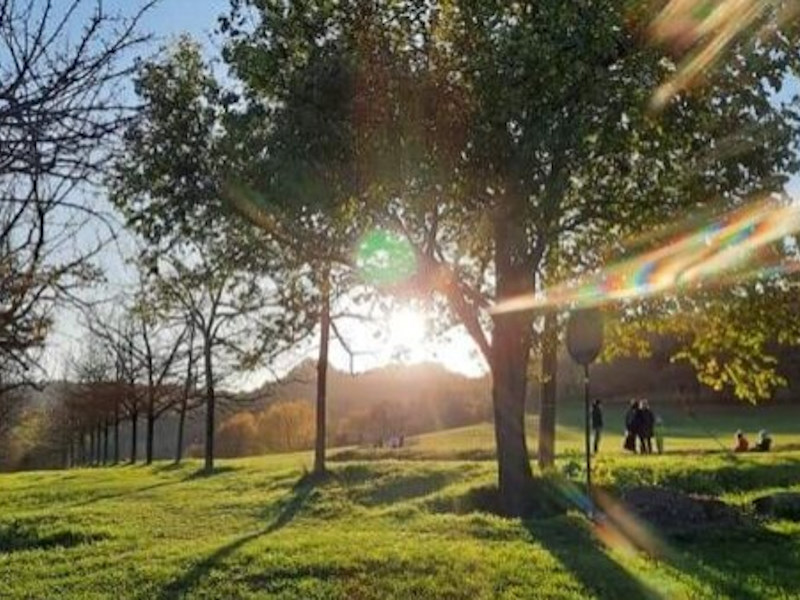 Bologna Verde: il programma di interventi e azioni