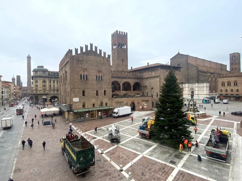 Sabato 29 si accende l'albero e via Riva Reno è in Festa